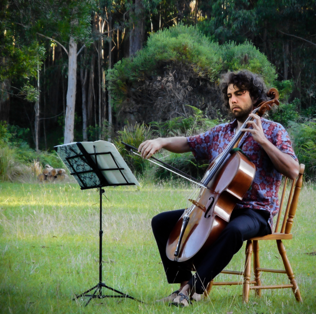 acoustic music concerts in the forest